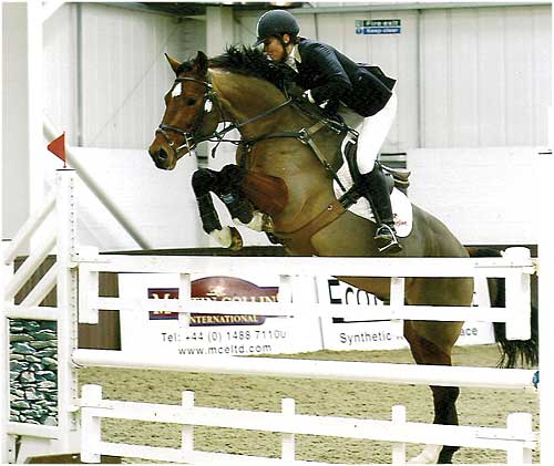Wings Qualifying for Scope Festival of Showjumping with 2nd place at Addington Manor as a 5 year old