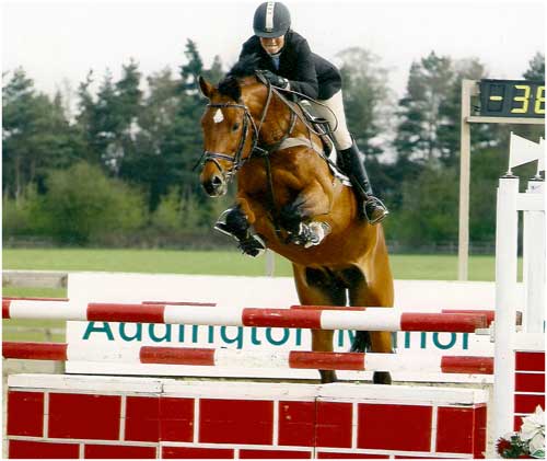 Wings winning as a 5 year old the Brightwells Star of the Future and a £1000 bonus at the British Young Horse Champs 2008